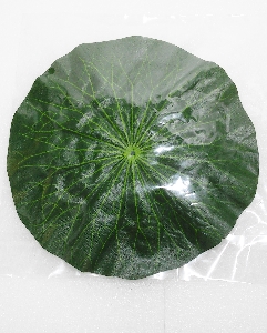 お盆用品 ハスの葉 （1枚入）